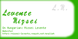 levente mizsei business card